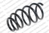 LESJ?FORS 4063559 Coil Spring